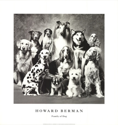 HOWARD BERNMAN Family of Dog 23