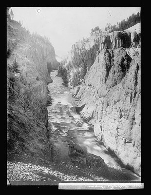 Yellowstone Canyon,Wyoming,WY,Yellowstone National Park,Landscape,Nature