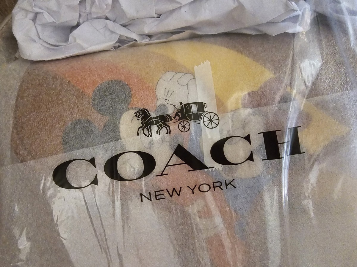 Disney X Coach Courier Bag With Mickey Mouse And Minnie