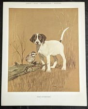 1979 Bob Carney Limited Edition Signed Print Point Of Decision Quail Pointer Dog