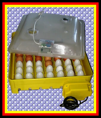 BOROTTO 1) Inkubator/Brutkasten/Brutmaschine/Brutapparat/Incubator/Incubadora/Couveuse