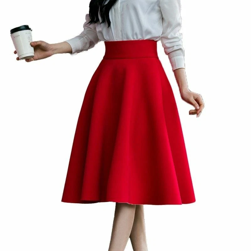 Pleated skirt 2025 knee high