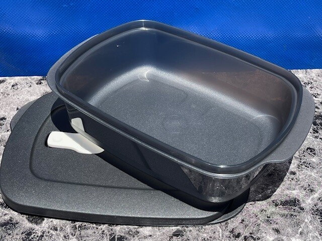 Tupperware Rectangular Microflash Container, 1L / 1Q Different Colors ...