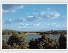 Postcard Salt Pond Cape Cod National Seashore Massachusetts USA