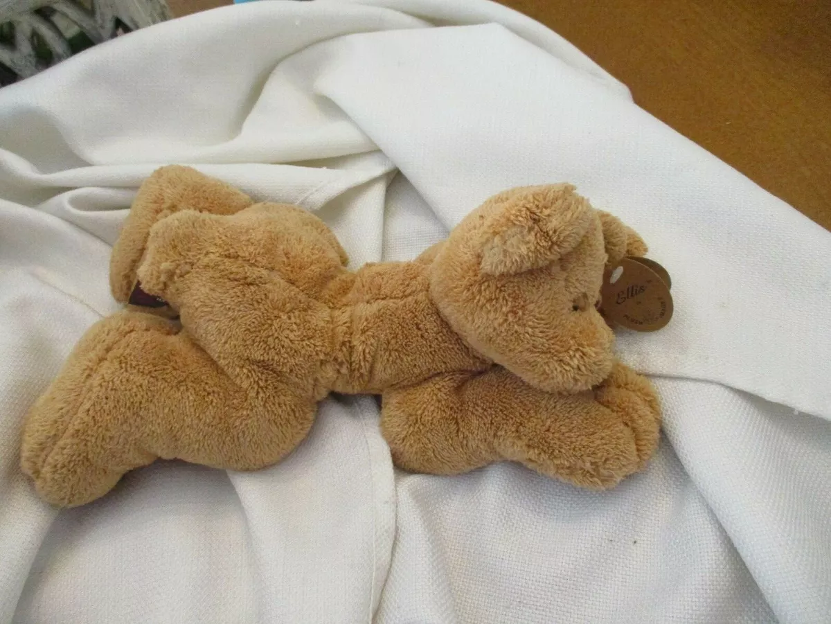 Big paws sales teddy