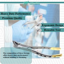 Dental Extracting Forceps 151 German Stainless Steel Surgical Molar Extraction