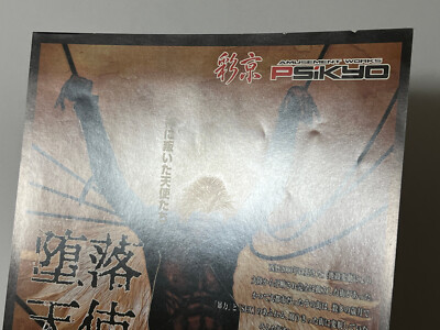 Daraku Tenshi The Fallen Angels Arcade Flyer Japan (PSiKYO, 1998