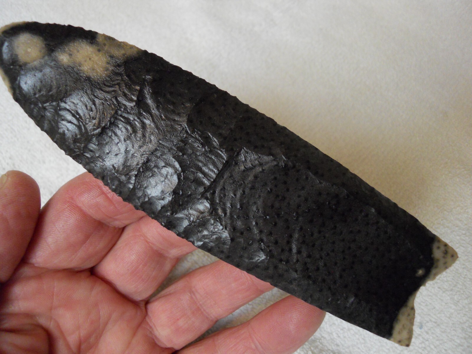 Clovis Arrowhead Magnificent 6" Fluted Petrified Palmwood Point