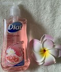 DIAL***HIMALAYAN SALT*** Hydrating Hand Soap~~~7.5 FL OZ/221 mL~~~BRAND NEW — photo 6