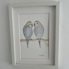 Pair Of Blue Budgerigars/ Budgie Original Watercolour Painting, Signed, Tropical