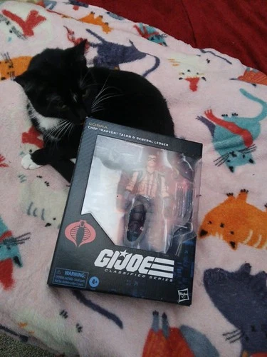 Chip Raptor Talon GI Joe Classified Series Complete Set