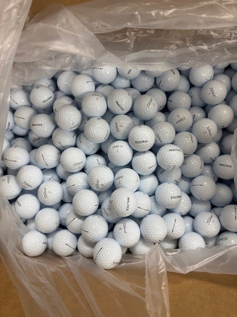 2026 New Titleist Pro V1X Practice Golf Ball 2 Dz/25 Dz Free USPS Priority Mail