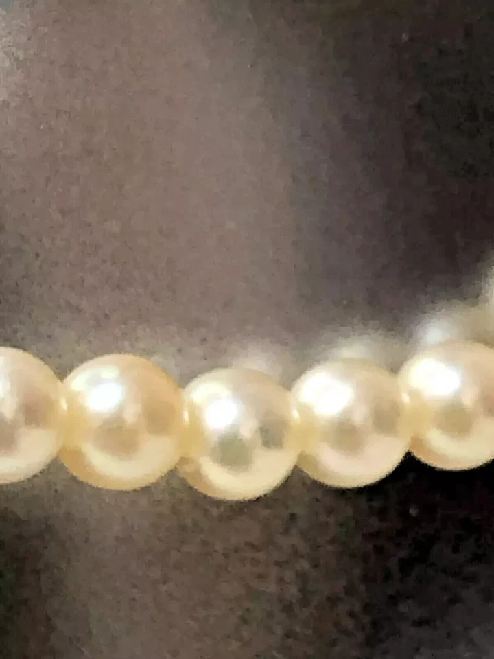 AFFARE! COLLANA di PERLE AKOYA GIAPPONE ACQUA SALATA ROTONDE CREMA ARGENTO 925 - Immagine 4 di 4