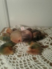 Ty beanie babies claude the crab