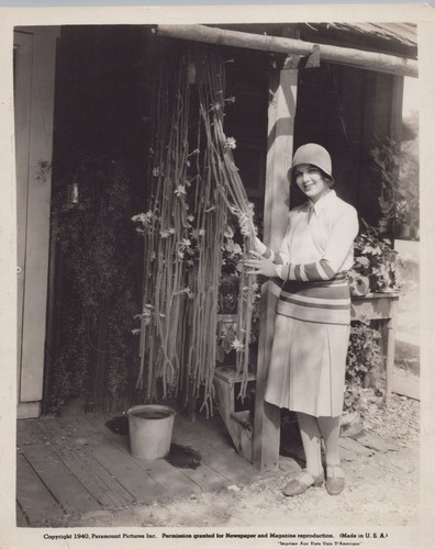 HOLLYWOOD BEAUTY MARY BRIAN PARAMOUNT STUNNING 1940 PORTRAIT ORIG PHOTO J12 - Bild 1 von 2