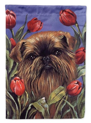 Caroline's Treasures Brussels Griffon Peek a Boo House Flag PPP3041CHF