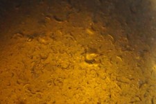 Black Sea Glass - 75g RAREST OLDEST Pirate 1700s Sydney Cove Australia dow5