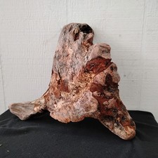 Cool Driftwood Crazy Fish Looking Natural Sculpture Wood Working Decor