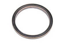 12587621 Rear Crankshaft Oil Seal