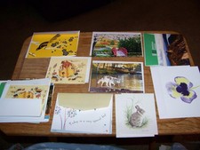 LOT OF 40 BLANK INSIDE CARDS  ENVELOPES MIXED LOT  BRANDS NICE CLEAN