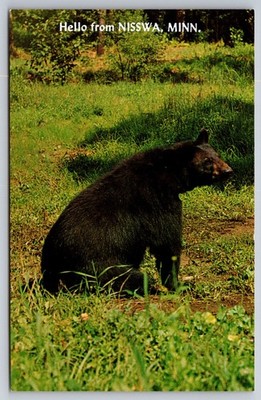 Nisswa Postcard Hello from Ol' Smokey Bear Minnesota Vintage USA Unposted