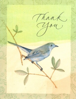 Bluebird Blue Bird On Branch Thank You Notes Note Cards By Hallmark - Set of 2