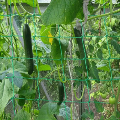 Stütznetz für Kletterpflanzen Pflanzennetz Gartennetz Ranknetz Rankhilfe 5-Größe