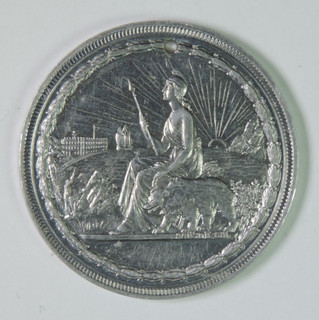 1894 California Midwinter Intl Exposition San Francisco So Called Dollar HK 249