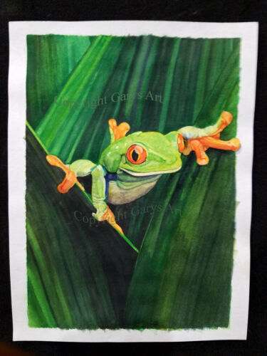 Original watercolor painting Red-eyed tree frog Not a print 9x12 inches. - Foto 1 di 1