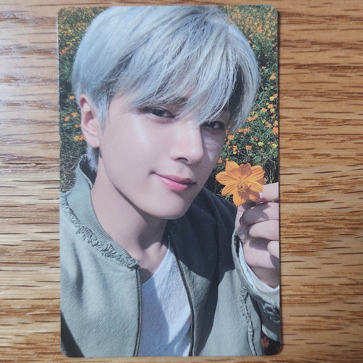 Jay Official Photocard Enhypen Orange Blood Weverse Version Jay Official Photocard Enhypen Orange Blood Weverse Version
