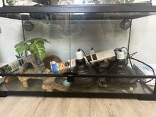 Used Reptile Tank
