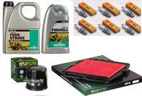 Honda GL 1800 Goldwing - 01/17 - Komplette Wartungsteilepaket