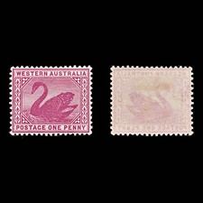 9026: Western Australia SG112 1d Carmine rose 1899 Sc#73 Mi44 Mint MLH C£10