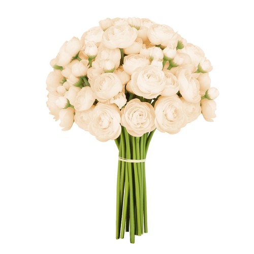 Faux Ranunculus Flowers Small Champagne Flowers Artificial Ranunculus 24PCS M...
