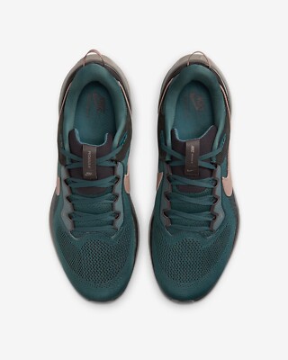 Nike Air Zoom Pegasus 41 Faded Spruce Black HQ6025-300 Men's Size