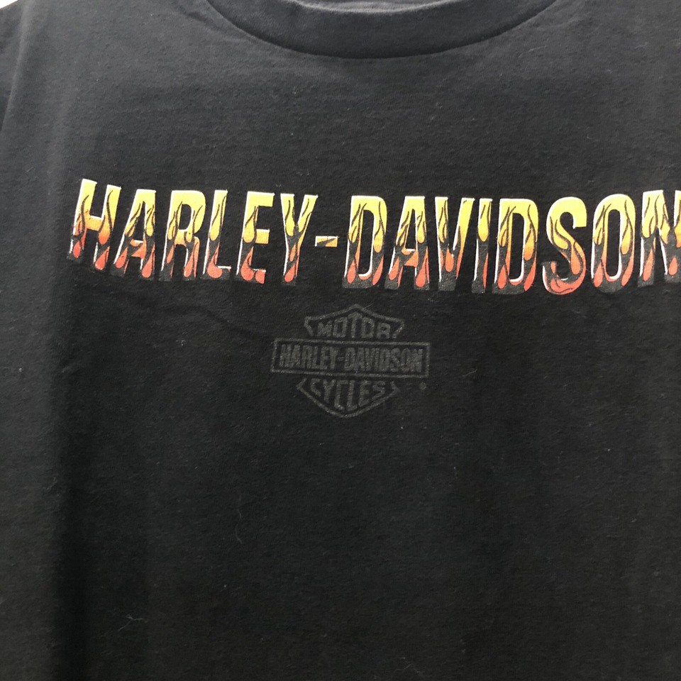 Harley Davidson Motor Cycles Road and Sport Hamilton New Zealand eBay