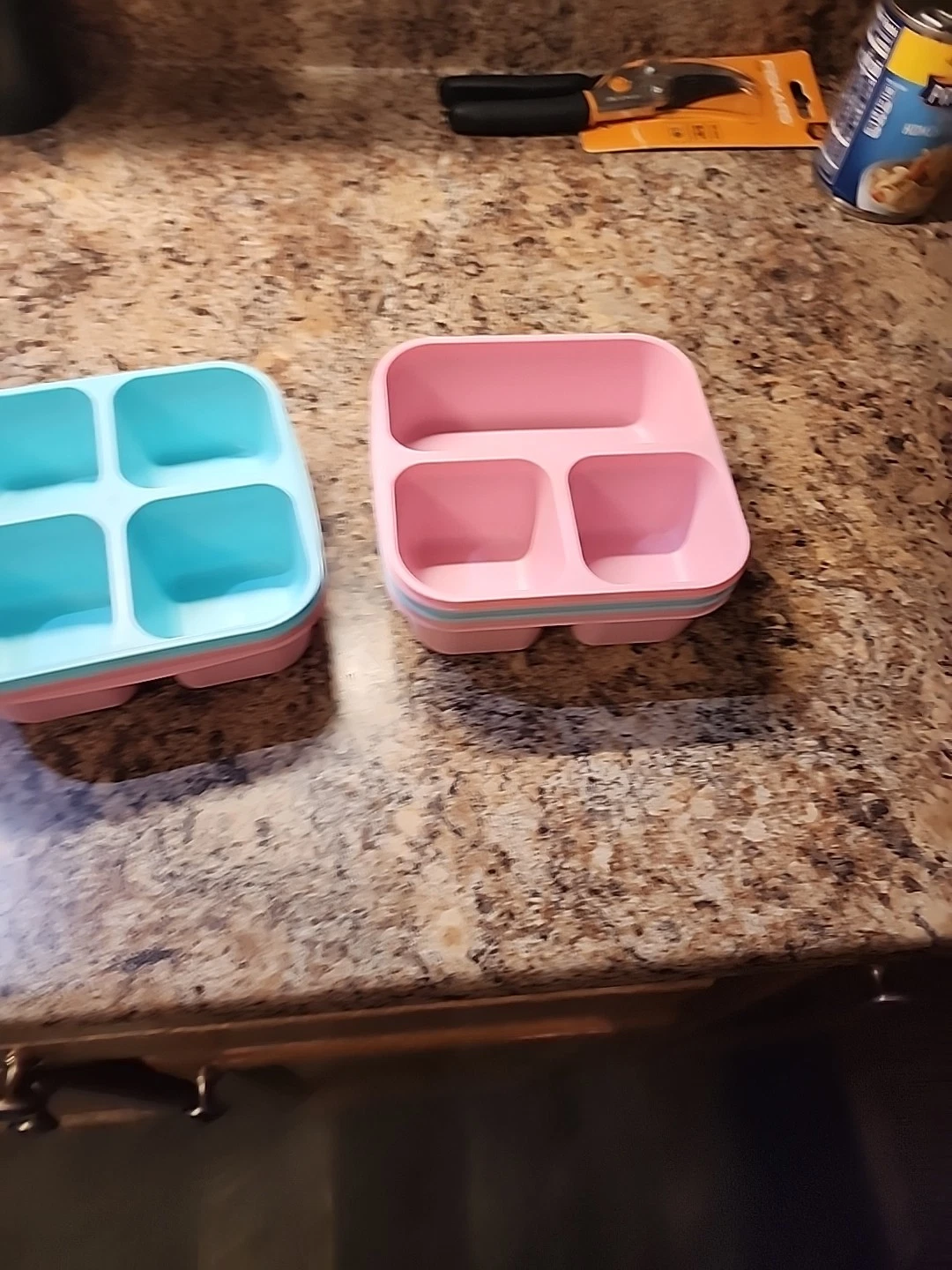 4x 4 Section To-Go Food Containers + Lids