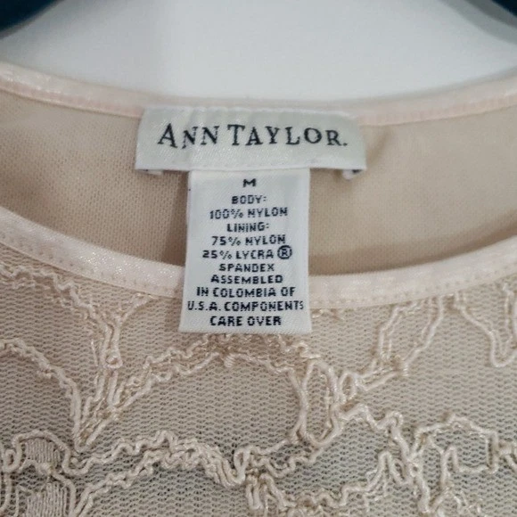 Camisa De Colección Años 90 Y2k Ann Taylor Malla Manga Larga Talla M Forrada Fairy Grunge Foto 3 de 4