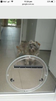 Dog Doors Cat Doors Fan Holes And Pet Doors Other Building