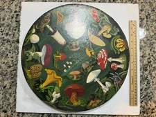 Vintage 1968 Springbok Circular Puzzle The Mushroom by Booth Courtenay Complete