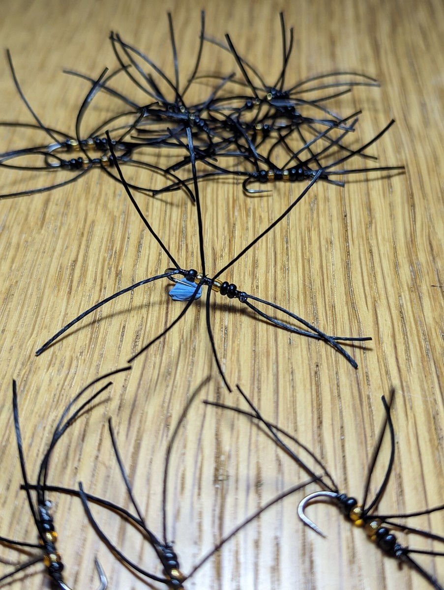 Fly Fishing,trout flies( hot- Spot Black Apps Bloodworm) 👉12