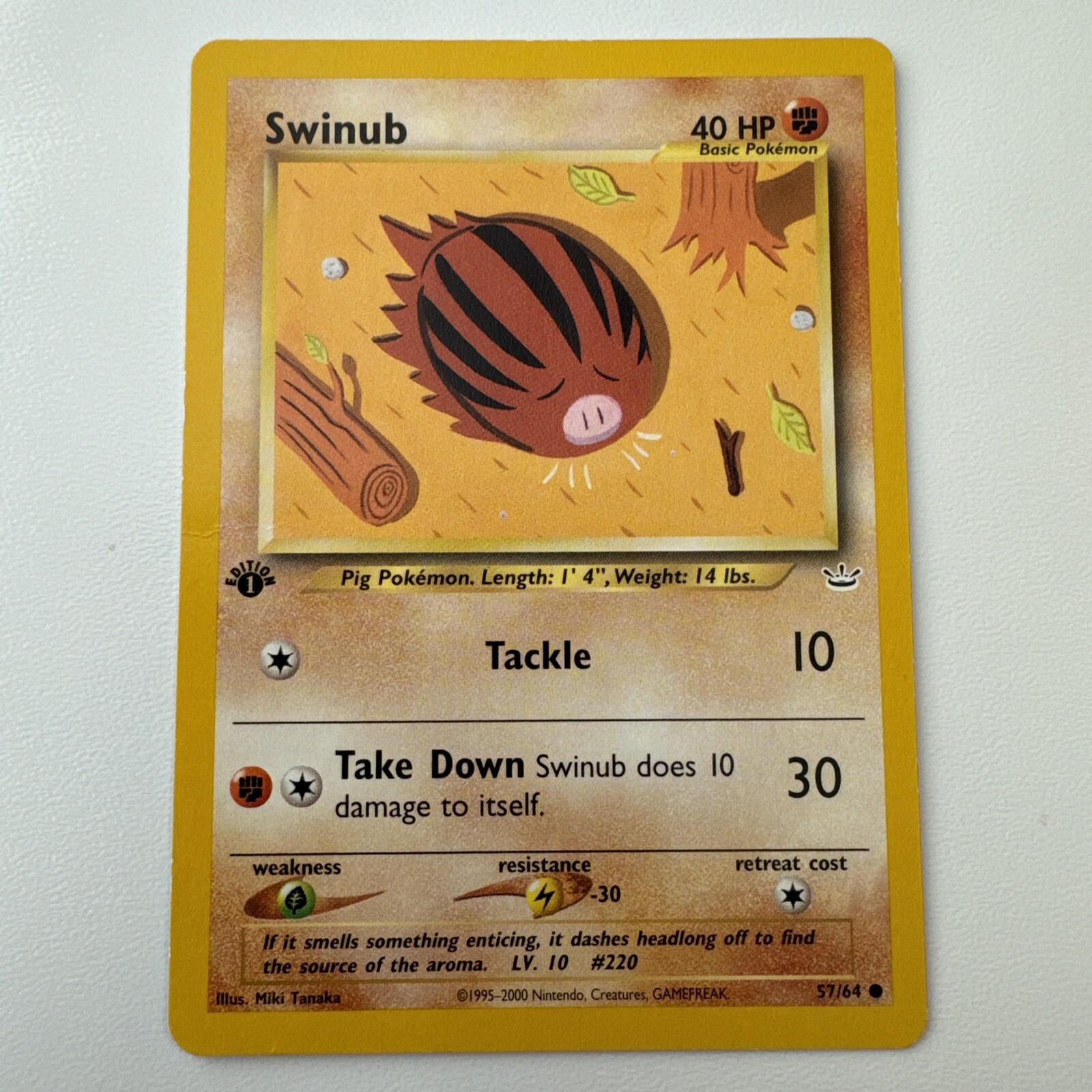 Pokémon TCG Swinub Neo Revelation 57/64 Regular 1st Edition Common