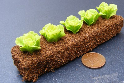 5er Streifen Römersalat Tumdee Puppenhaus Gemüse Zubehör Maßstab 1:12