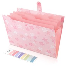 Pink Expanding File Folder with 5 Pockets, Cute Accordion File Organizer