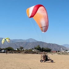 USED Ozone Buzz Z XL Glider for Paragliding, Paramotor, PPG, Powered Paraglider