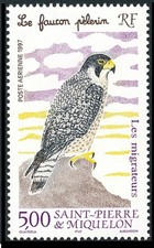 1997 SAINT PIERRE ET MIQUELON PA N°76 OISEAUX Faucon 1997 SPM Birds Falcon MNH