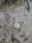 1964 Roosevelt Dime 90% Silver Junk Fine
