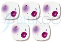 Nippon Kodo Yume No Yume RäUcherstäBchenhalter Morning Glory - 1 StüCk (5Er...