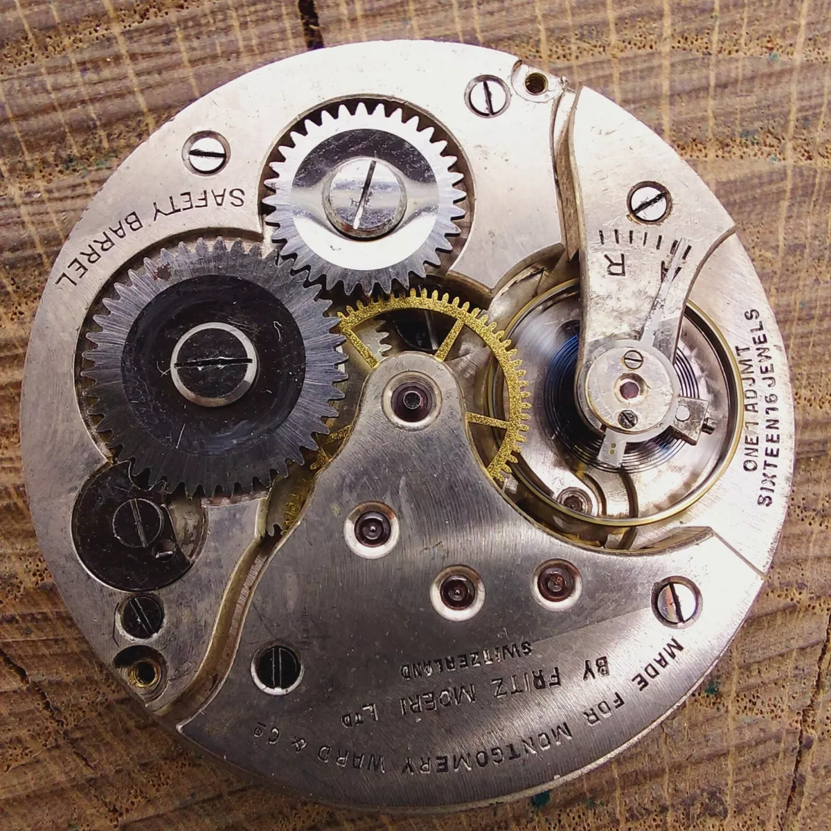 Michele clearance watch movement