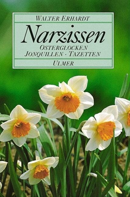 Thumbnail - Narzissen | Buch | 9783800164899